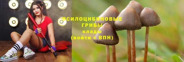 круглые Богородицк