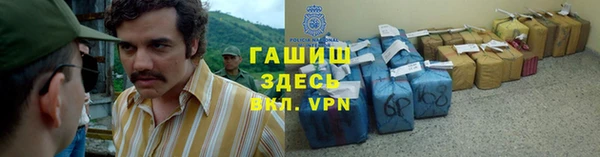 прущие грибы Богородск