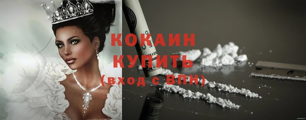 прущие грибы Богородск
