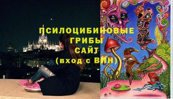 круглые Богородицк