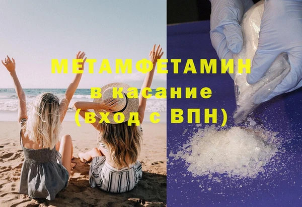 прущие грибы Богородск
