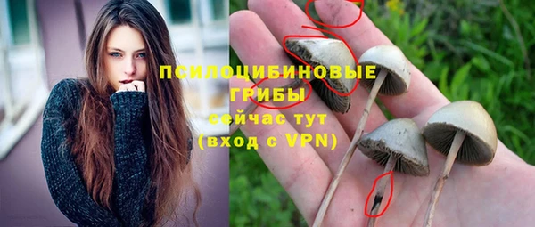 прущие грибы Богородск